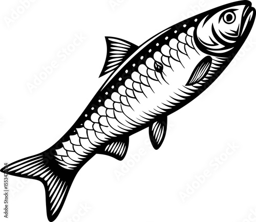 Detailed black and white illustration of herring fish swimming isolated on white background
