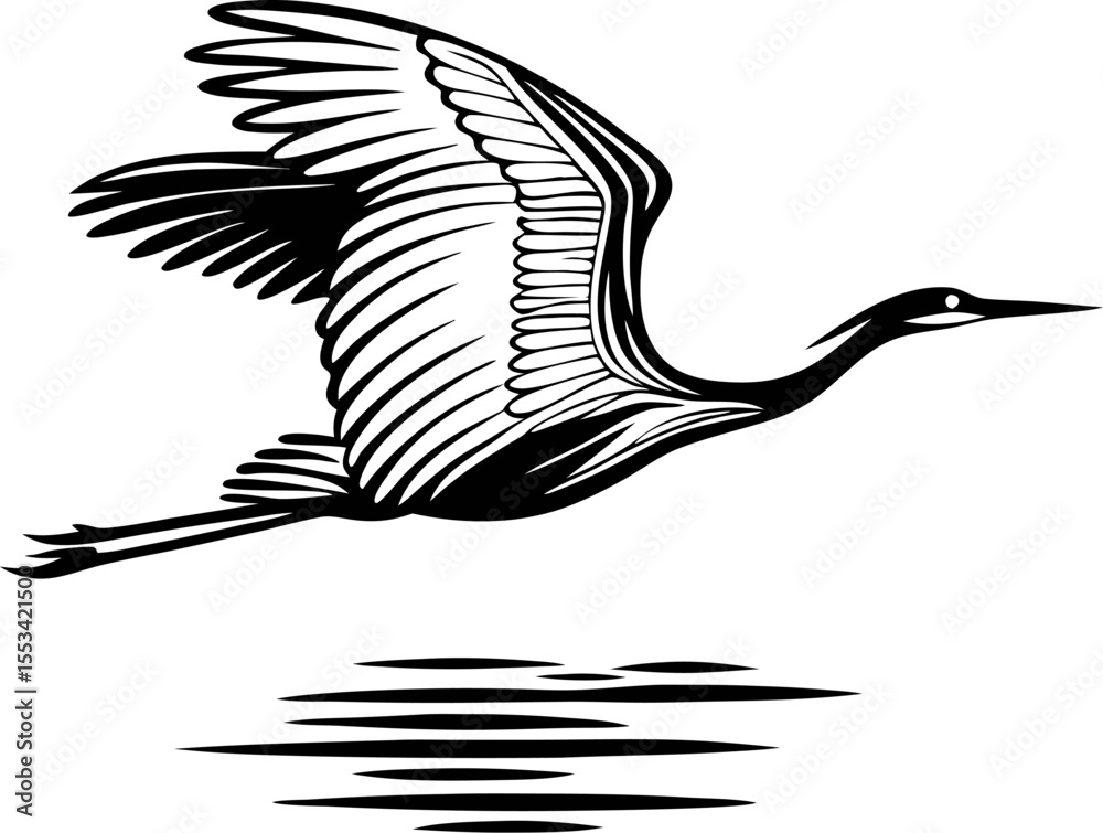 Naklejka premium Elegant flying crane illustration in monochrome with detailed feather lines and water reflection beneath bird
