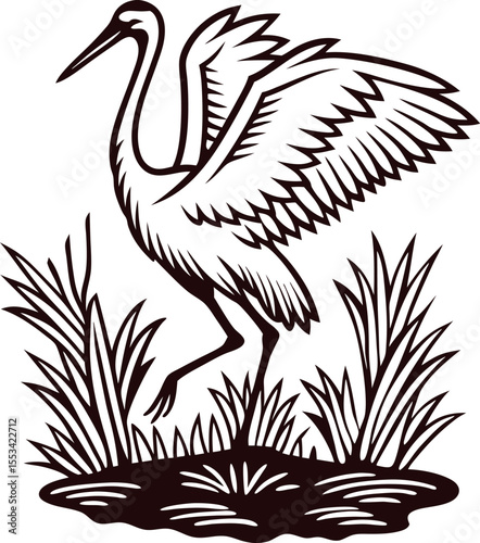 Graceful crane with outstretched wings standing among reeds at a pond in vintage engraving