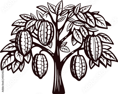 Vintage engraved cacao tree illustration with pods and leaves isolated on white background