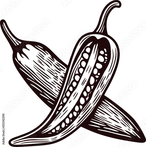 Hand drawn chili pepper illustration with seeds vintage spicy vegetable engraving cross section