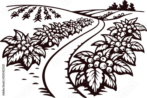 Hand drawn potato field with rows of plants and scenic landscape, black and white vintage illustration