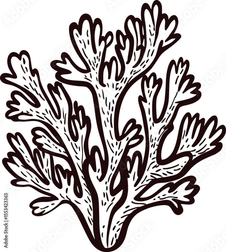 Hand drawn sea coral branch black outline isolated on white background nautical marine botanical illustration