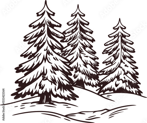 Hand drawn illustration of three pine trees in snowy winter forest landscape
