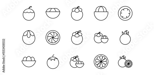 mangosteen icon pack illustration