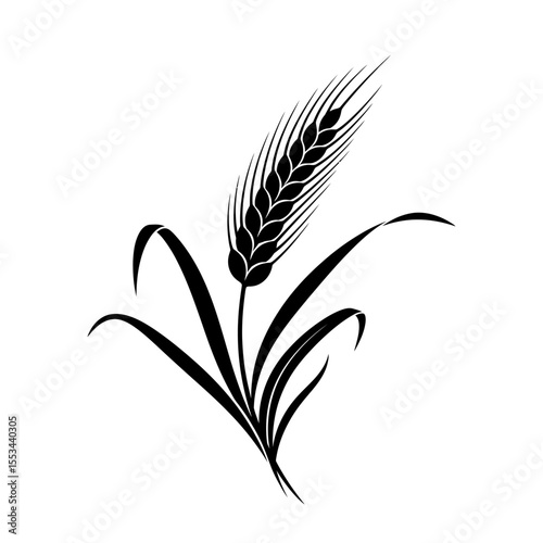 A black and white illustration of a wheat stalk with leaves on a plain white background graphic art