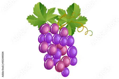 Grapes fruit with leaves.  grappoli uva. Sfondo grappoliuva.