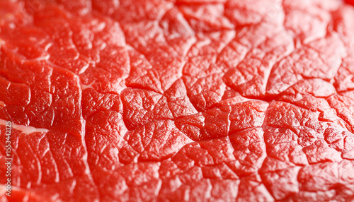 Close-up macro of beef red showcasing gourmet food ingredients