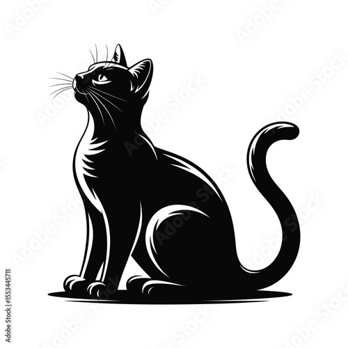Black cat illustration sitting and looking up with whiskers and curved tail on white background feline