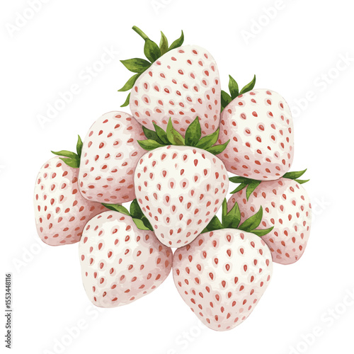 Detailed Watercolor Painting Of A Desert Fig Fruit Showcasing Its Vibrant Orange Outer Skin And Intricate Red Interior With Numerous Seeds Against A Clean White Background