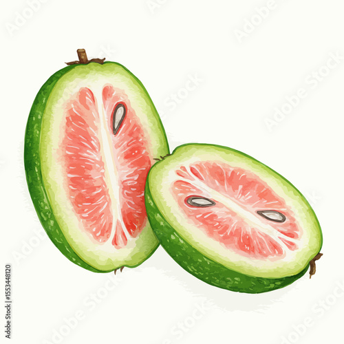 Watercolor Artwork Presents Sliced Bilimbi Fruit Revealing Vibrant Pink Pulp And Dark Seeds Against Its Green Skin Embodying A Fresh Botanical Aesthetic With Artistic Detailing