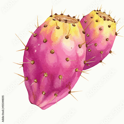 Vibrant Watercolor Illustration Showcases Two Prickly Pears Rendered In Meticulous Detail With A Focus On Color Transitions And Texture Set Against A Clean White Backdrop