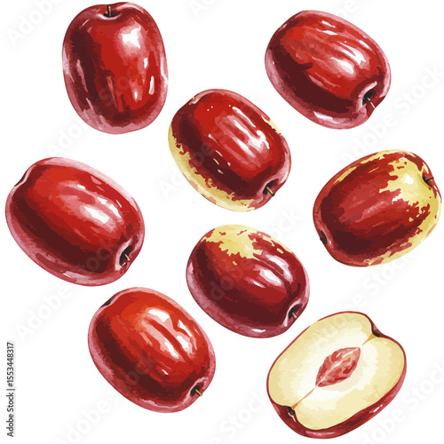 Watercolor Illustration Of Jujube Fruits Scattered On A White Surface Showcasing The Fruits Smooth Skin Rich Red Color And Unique Oblong Shape In A Delicate Vibrant Style