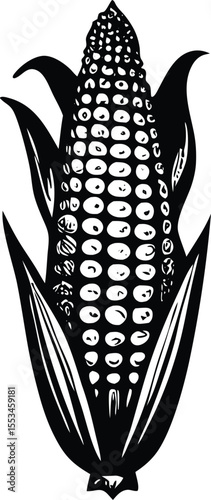A striking black and white woodcut style illustration of a ripe ear of corn with its green husks peeled back revealing the kernels