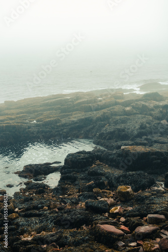 Rocky coastline of Acadia National Park