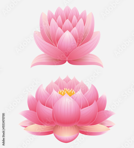 Lotus flower set. Vector illustration. Isolated on white background.