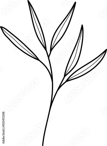 Leaf Line Illustration