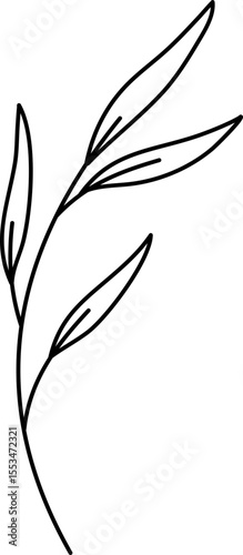 Leaf Line Illustration