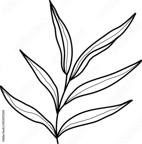 Leaf Line Illustration