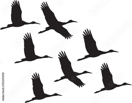 A set of flying bird silhouettes includes various wildlife like eagles, hawks, and doves, perfect for vector illustration in nature-themed art