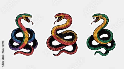 Three Coiled Snakes With Open Mouths and Forked Tongues, Detailed Illustration