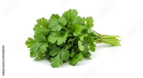 Coriander Leaf Bunch Spread on White