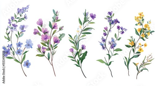 Spring flowers and leaves in a vector collection. Wildflowers, branches, and foliage on a white background. Hand-drawn floral illustrations for decorations, Easter, Thanksgiving, and clip art.
