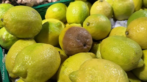 A mound of shiny, fresh, yellow and green lemons fills a green supermarket bin, with one visibly brown and decaying lemon nestled amongst the vibrant 