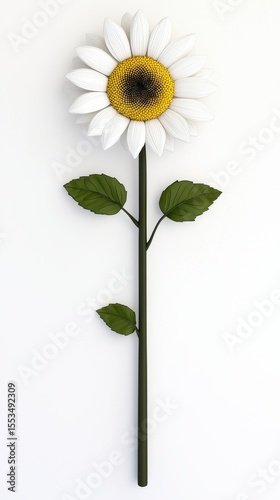 Stylized White Sunflower with Yellow Center on White Background