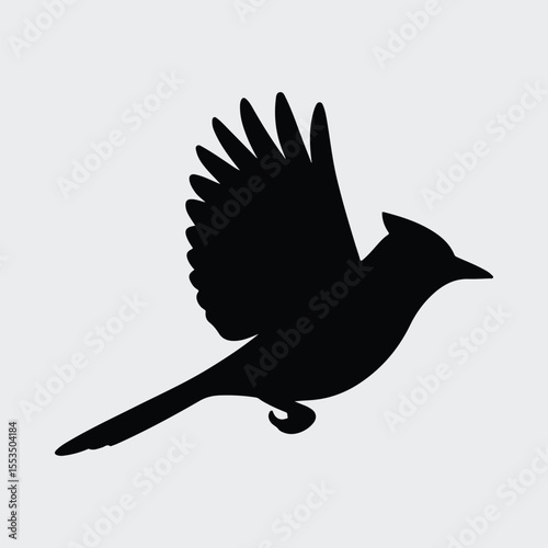 Silhouette blue jay soaring in flight isolated Vector illustration
