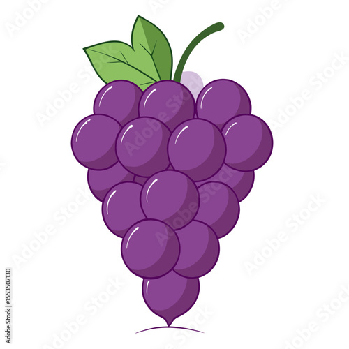 Grape vector design 