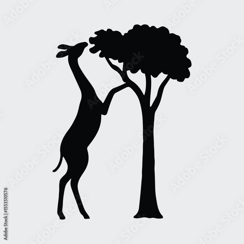 Silhouette giraffe eating leaves from a tree Vector illustration