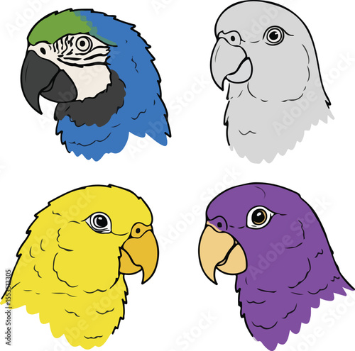 Vibrant Parrot Portraits: Macaw, Cockatoo, and More
