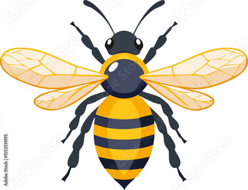 bee vector illustration