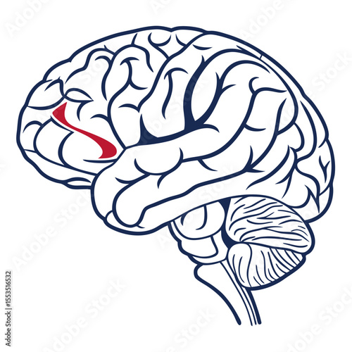 Human brain vector icon, human brain vector illustration