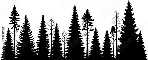 A set of pine trees silhouette vector
