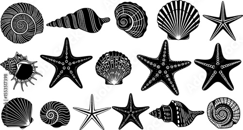 Sea Shells and Starfish Silhouette Collection – Marine Life Vectors Set
