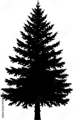 Pine Tree Silhouette Vector – Evergreen Forest Tree Illustration for Nature and Outdoor Designs
