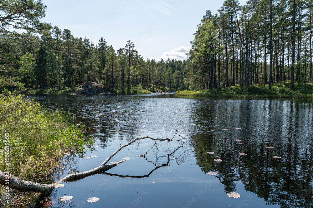 Obraz premium See Stora Trehörningen im Nationalpark Tiveden, Schweden