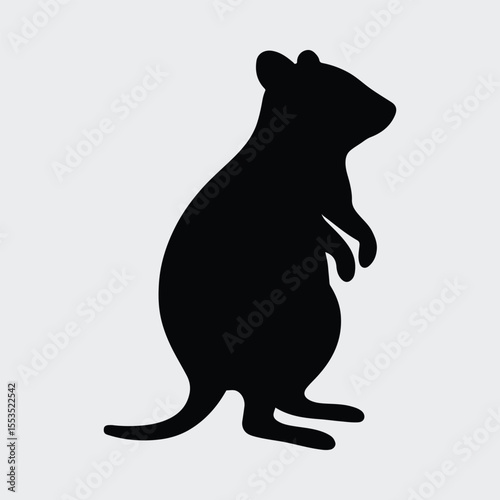 Silhouette rat standing on hind legs animal pet Vector illustration