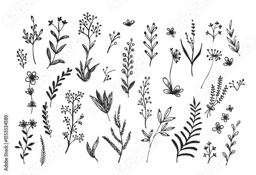 Hand-Drawn Black Floral Elements Set EPS, PNG - Sketch Leaves, Branches, Flowers, Botanical Doodles