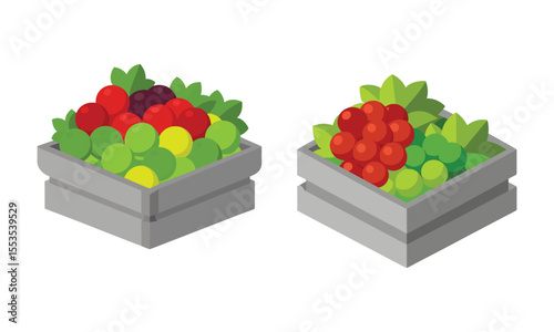 Isometric view of grapes in wooden boxes isolated on white background.