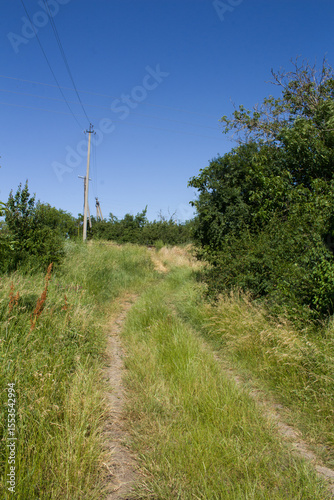A dirt road through a field