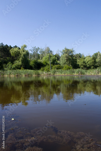 A lake with trees and grass