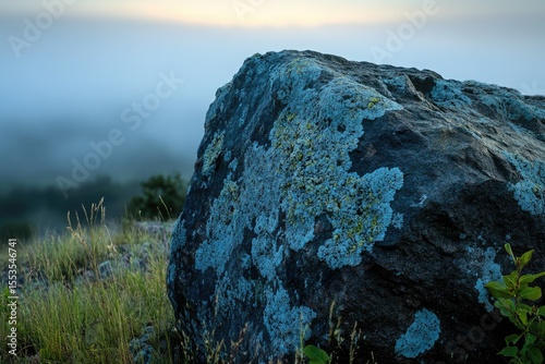 A large, lichen-covered rock sits atop a misty hill, showcasing nature's serene beauty.