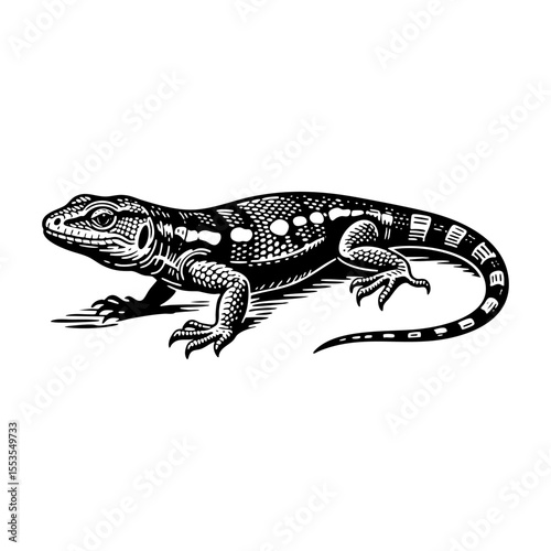 Lizard sketch engraving black and white outline. Scratch board imitation.  illustrated in vintage line art style on a white background.