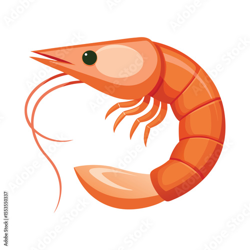 Shrimp vector illustration isolated on white background