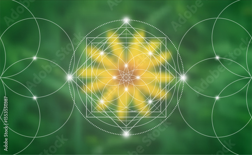 Sacred geometry, Flower of life. Mystical lotus spiritual new age futuristic illustration with transmutation interlocking circles, bright neon sign, symbol of harmony and balance, blurry background