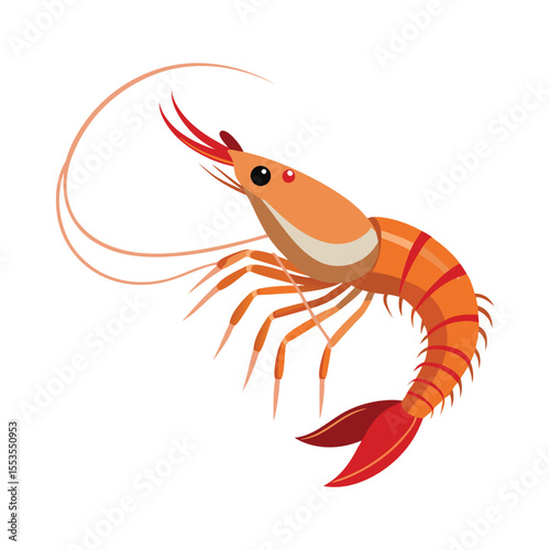 Shrimp vector illustration isolated on white background
