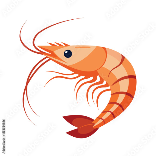 Shrimp vector illustration isolated on white background